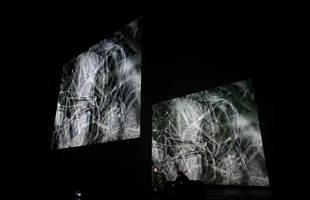 Mirage Festival - Performances - Light, Sound and Death